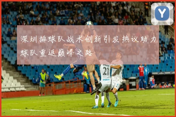 深圳排球队战术创新引发热议助力球队重返巅峰之路