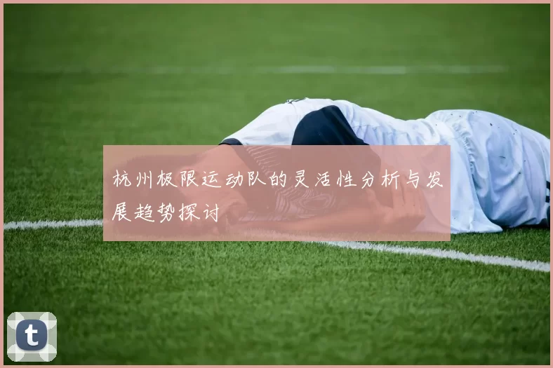 杭州极限运动队的灵活性分析与发展趋势探讨