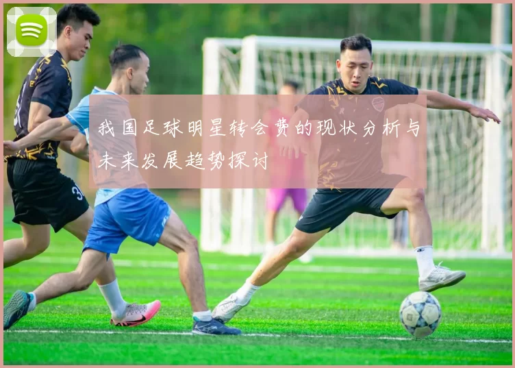 我国足球明星转会费的现状分析与未来发展趋势探讨