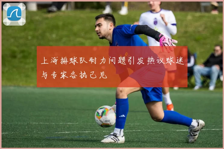 上海排球队耐力问题引发热议球迷与专家各执己见