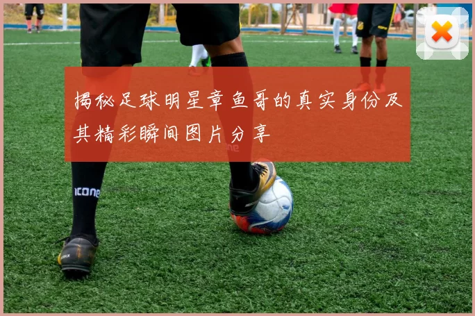 揭秘足球明星章鱼哥的真实身份及其精彩瞬间图片分享