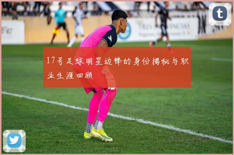 17号足球明星边锋的身份揭秘与职业生涯回顾