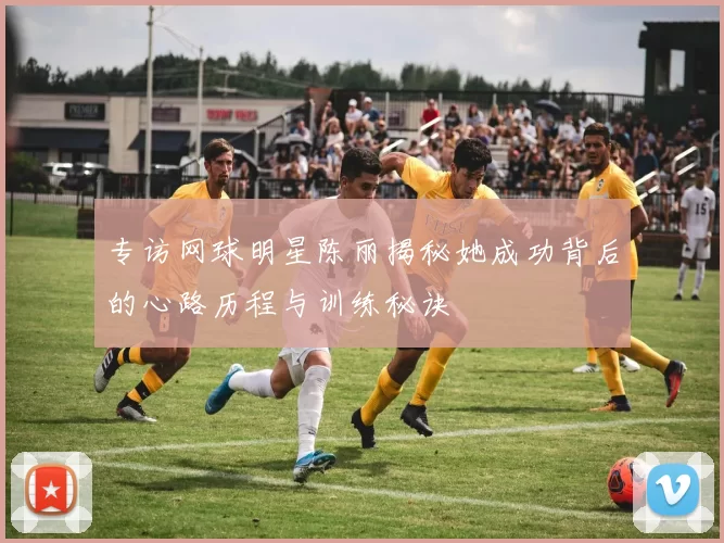 专访网球明星陈丽揭秘她成功背后的心路历程与训练秘诀