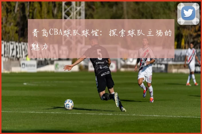 青岛CBA球队球馆：探索球队主场的魅力