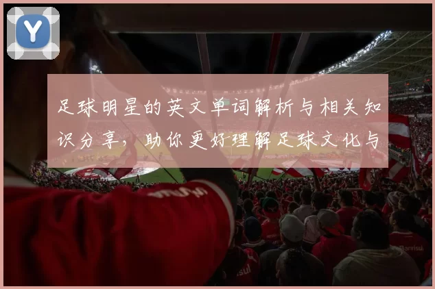 足球明星的英文单词解析与相关知识分享，助你更好理解足球文化与语言魅力