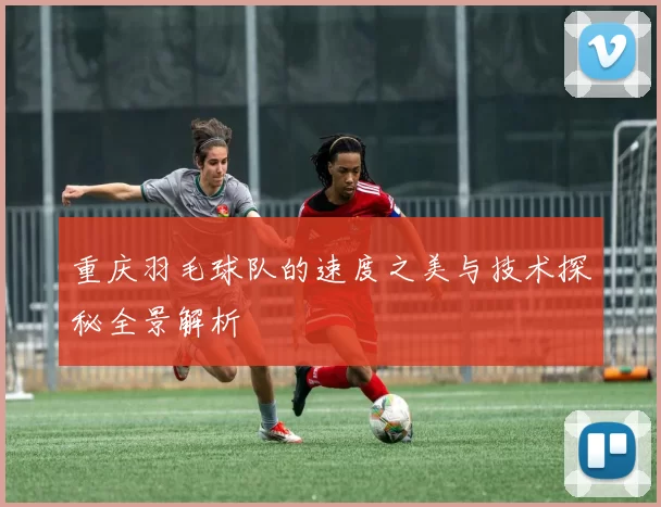 重庆羽毛球队的速度之美与技术探秘全景解析