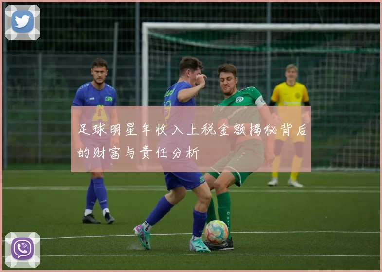 足球明星年收入上税金额揭秘背后的财富与责任分析