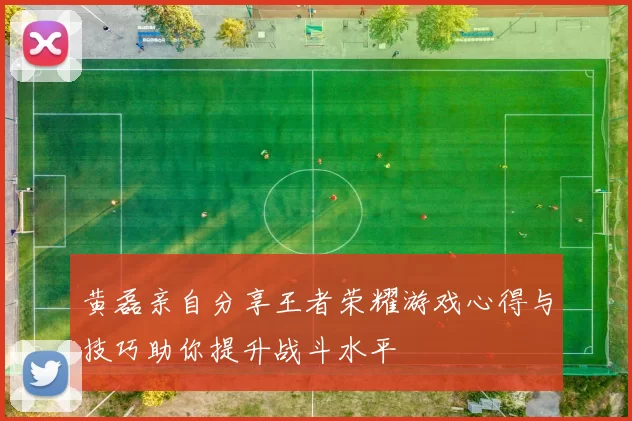黄磊亲自分享王者荣耀游戏心得与技巧助你提升战斗水平