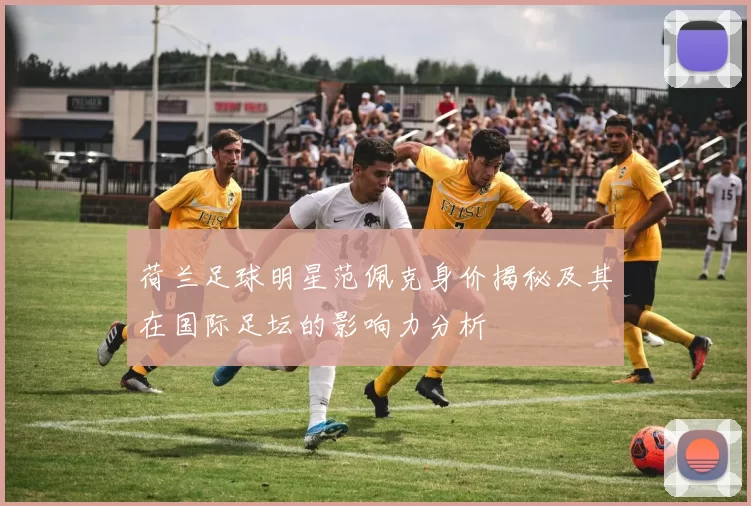 荷兰足球明星范佩克身价揭秘及其在国际足坛的影响力分析