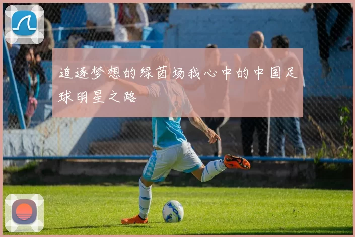 追逐梦想的绿茵场我心中的中国足球明星之路