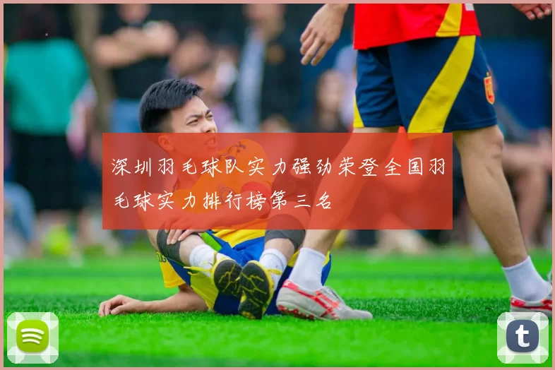 深圳羽毛球队实力强劲荣登全国羽毛球实力排行榜第三名