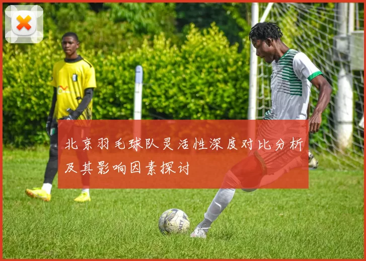 北京羽毛球队灵活性深度对比分析及其影响因素探讨