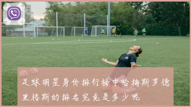 足球明星身价排行榜中哈梅斯罗德里格斯的排名究竟是多少呢