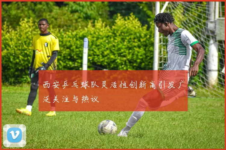西安乒乓球队灵活性创新高引发广泛关注与热议