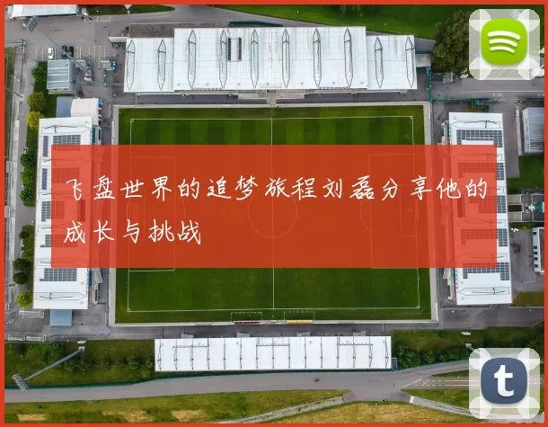 飞盘世界的追梦旅程刘磊分享他的成长与挑战