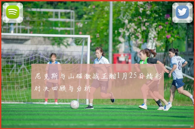 尼克斯与山猫激战正酣1月25日精彩对决回顾与分析