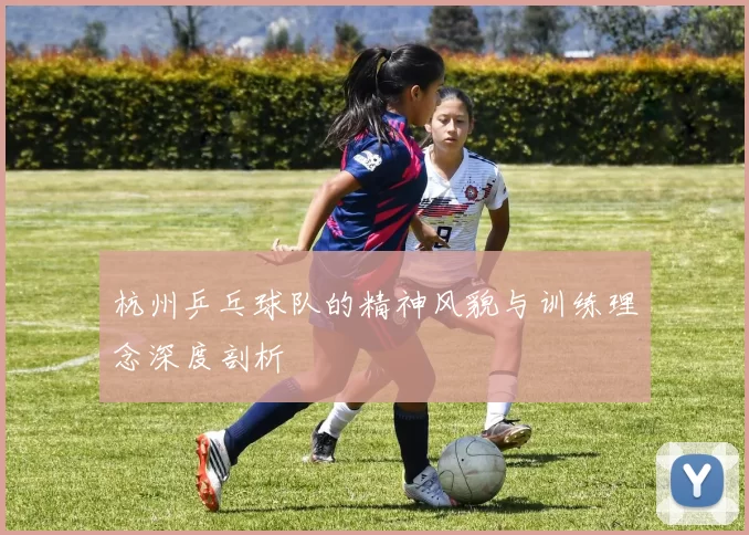 杭州乒乓球队的精神风貌与训练理念深度剖析