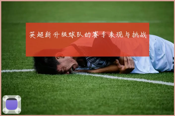 英超新升级球队的赛季表现与挑战