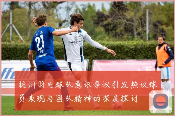杭州羽毛球队意识争议引发热议球员表现与团队精神的深度探讨