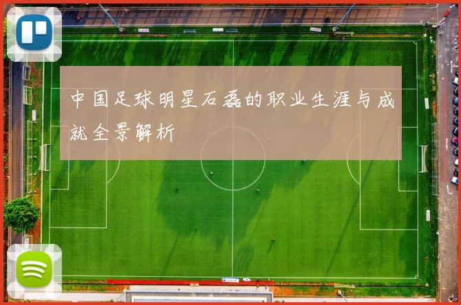 中国足球明星石磊的职业生涯与成就全景解析