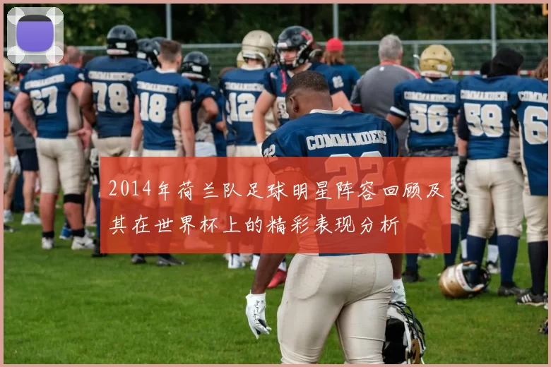 2014年荷兰队足球明星阵容回顾及其在世界杯上的精彩表现分析