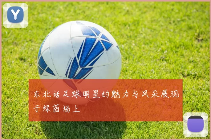 东北话足球明星的魅力与风采展现于绿茵场上